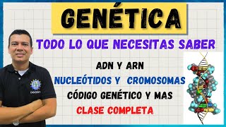 GENETICA CROMOSOMAS ADN Y ARN CODIGO GENETICO NUCLEOTIDOS MUTACIONES BASES NITROGENADAS [upl. by Luckett]