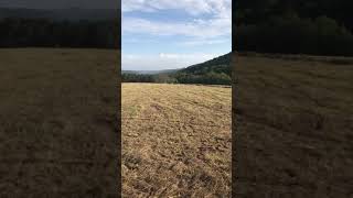 Baling hay with John Deere 4050 [upl. by Diann]