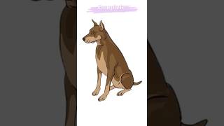 How To Draw Dog step by step shorts ytshorts hritiknaithaniarts pencil drawing art sketch [upl. by Nosredneh]