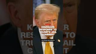 Kinzinger responds to Trump’s jail comment [upl. by Erastes546]