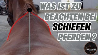 Was ist zu beachten bei schiefen Pferden   ReitsportRheinmain [upl. by Nylissej]