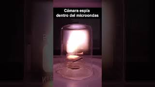 Haciendo plasma aterrador en un microondas [upl. by Anawit257]