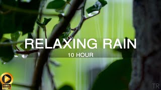 10 Hour  Rain Sounds for Sleep  Meditation  Study  Focus  Spa  Calming Background Ambience [upl. by Lehcor93]