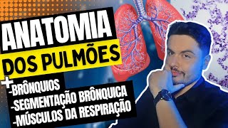 Anatomia dos Pulmões e Segmentação Brônquica [upl. by Fowler]