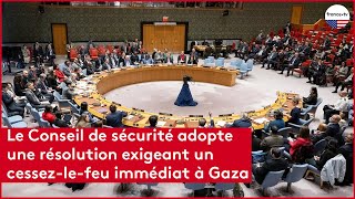 Le Conseil de sécurité adopte une résolution exigeant un cessez le feu immédiat à Gaza [upl. by Akselav808]