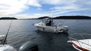 Australias Greatest Boats  day 1 [upl. by Lunetta]