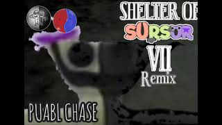 Shelter of SurSur 7  OST puabl chase remix RedBlueBros X Blackwhitefriends [upl. by Paulson]