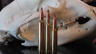 308 vs 3006 vs 300 Win Mag Which One Should You Hunt With [upl. by Ilatfan]