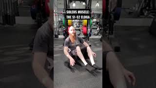 THE S1S2 ELDOA EXERCISE FOR THE SOLEUS MUSCLE Shorts [upl. by Yarised]