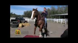 The LIST segment featuring Tommie Turvey horse trainer of Clydesdales Superbowl 2013 [upl. by Eelnyl]