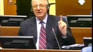 Vojislav Seselj brani srbski narod 224 [upl. by Northington]