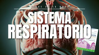 Sistema Respiratorio 🫁  Resumen Histología Ross📚 [upl. by Harlene]