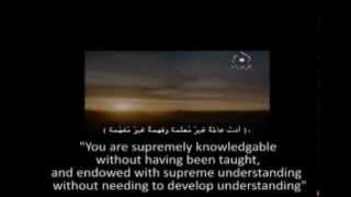 Ziyarat of Syeda Zainab s  with ArabicEng Subtitles [upl. by Yuille758]