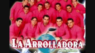 tu nuevo cariñito la arrolladora [upl. by Nosrac]