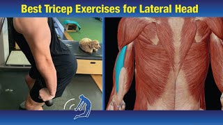 Best Way to Peak the Lateral Head of Tricep [upl. by Azer]