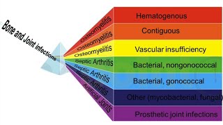 Overview of Bone and Joint Infections  Yanina Pasikhova PharmD [upl. by Sirahc681]