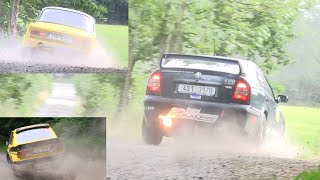 Rallye Železné Hory 2072024  Action and mistakes [upl. by Kirbee]