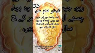 Mola Ali Qoutes  Farman E Mola Ali AS ❤️ moulaaliquotes shortvideos hazrataliqoutes [upl. by Schrader]