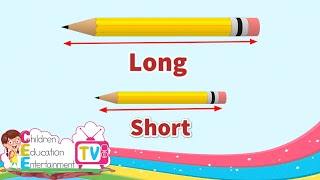 Long and Short  Comparing Lengths  Kindergarten Lessons  Math for Kids Episode 61 [upl. by Esyla]