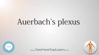 Auerbachs plexus Anatomy Named After People 🔊 [upl. by Acassej]