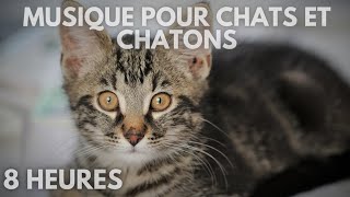 108🐱 Musique pour chats et chatonsmusique relaxante pour dormir les chats ♫ 8 heures [upl. by Ahselyt]