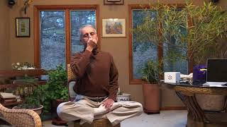 Anuloma Viloma Pranayama with Visualization [upl. by Ainad395]