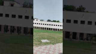 Sarvodaya vidyalaya no 3 sec7 rkpuram New Delhi [upl. by Cornela]