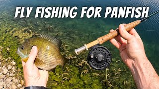 Sniping Spawning Panfish and Bass With an Ultralight Fly Rod Fly Fishing for Panfish [upl. by Bullock920]