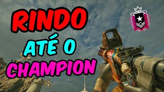 RINDO ATÉ O CHAMPION  R6 Ranked 20 [upl. by Ivad207]