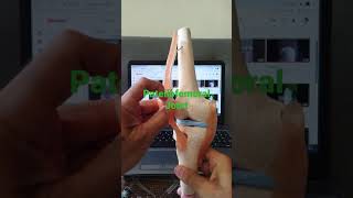 Patellofemoral Joint draqilshah viralvideos viral anatomy youtubeshorts shortsvideo shorts [upl. by Neehsuan418]