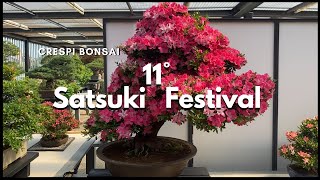 Bonsai Oni  CRESPI BONSAI 11° Satsuki Bonsai Festival [upl. by Garrot]