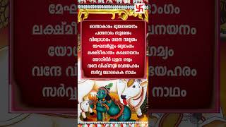 ഗുരുവായൂർ ഏകാദശി നാളിൽ ജപിക്കേണ്ട മന്ത്രം  Vishnu Stotram  Guruvayur Ekadashi  shortfeed status [upl. by Etterraj]