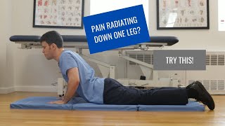 BEST Exercise for Sciatica  Herniated Disc RELIEF [upl. by Aseyt]