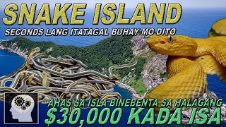 SNAKE ISLAND  Segundo LANG itatagal ng BUHAY mo dito   Jevara PH [upl. by Enert844]