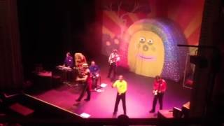 The Wiggles  live at the grand opera house York 1 [upl. by Animor403]