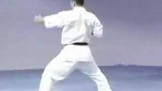 Karate Kyokushin  Pinan sono go [upl. by Bobbe790]