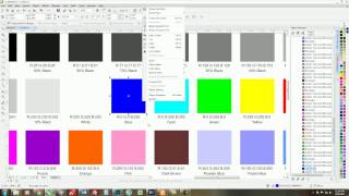 How to use CorelDRAW to Build a Color Swatch Chart [upl. by Akinnej164]