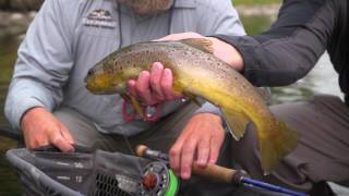 Fly Rod Chronicles  Big Hole Browns  Outdoor Channel [upl. by Deys]