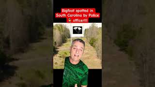 Police officer spots Bigfoot in South Carolina [upl. by Kalk]