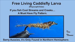 Free Living Caddisfly Larva Fly Pattern Rhyacophilidae [upl. by Otter]