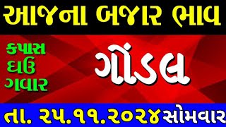 Commodity price 25112024 gondal marketing yard na bhav  saurashtra ajna bajar bhavcommodity rate [upl. by Hanan]