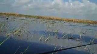 Lake okeechobee Bass Fishing [upl. by Hahseram]