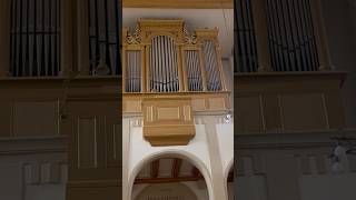 Kegelladenorgel historische EF Walcker Orgel 1846 op 62 in Hoffenheim ev Kirche Shorts vlog [upl. by Jallier421]