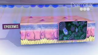 How LED Phototherapy Works [upl. by Llenwad587]