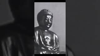 “The Buddha Explained by Alan Watts 🌸” [upl. by Edurtreg928]