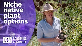 Native plants to grow in every environmental niche  Australian native plants  Gardening Australia [upl. by Yltsew]