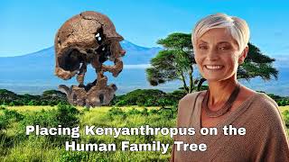 Kenyanthropus platyops Move over Lucy Australopithecus no longer at base of Genus Homo [upl. by Dorinda608]