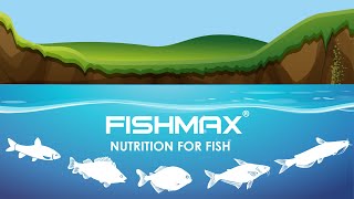 Fishmax Ad [upl. by Aranaj415]