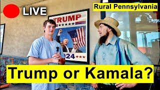 IRL Asking Swing State Voters who they are voting for  Rural Pennsylvania [upl. by Osithe]