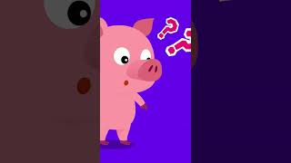 Colorful Animal Poo  Fun Animal Song  babysong nurseryrhymes tidikids [upl. by Harshman924]